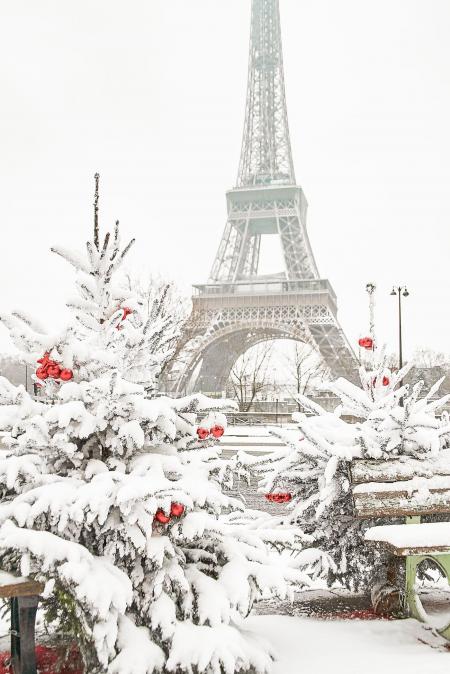 Paris in Winter