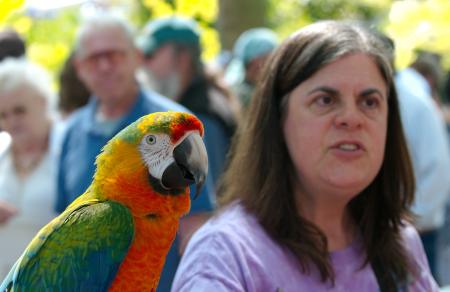 Parrot with owner 1
