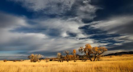 Patagonia