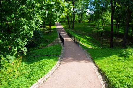 Path in park