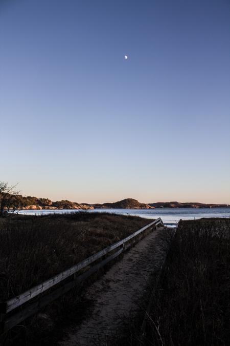Pathway Lined With Green Grass Leading to Body of Water Under Blue Sky