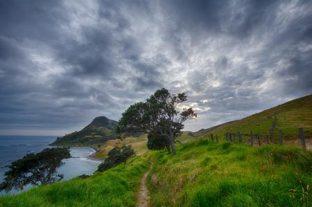 Pathway Near Fence and Cliff during Daytime