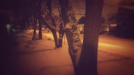 Pavement Covered With Snow Beside Road