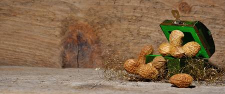 Peanuts in the Box