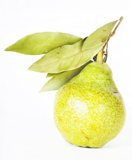 Pear