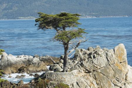 Pebble Beach