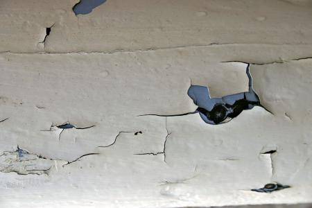 Peeling paint