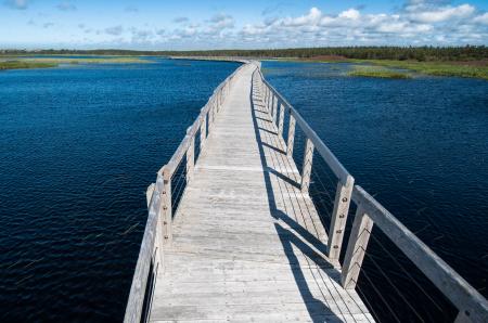 PEI Beach Boardwalk