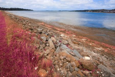 PEI Coastal Scenery - Pastel Pink HDR