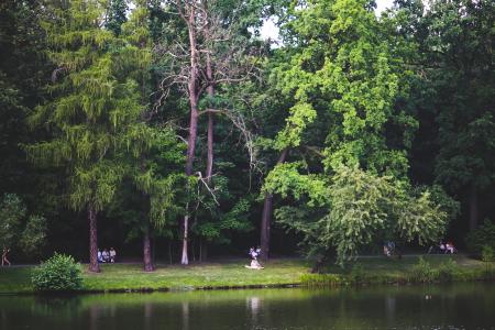 People in the park