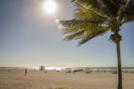 People Lying on the Seashore during Daytime