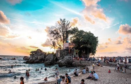 People Near Sea and Green Leaf Tree