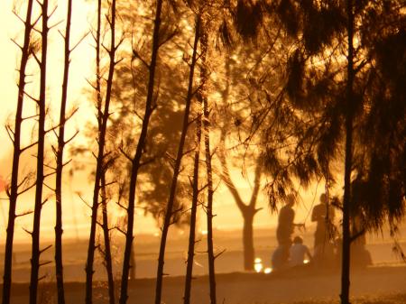People On the Beach at Sunset