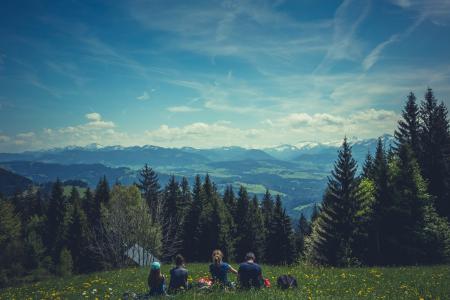 People Sitting on Green Grass