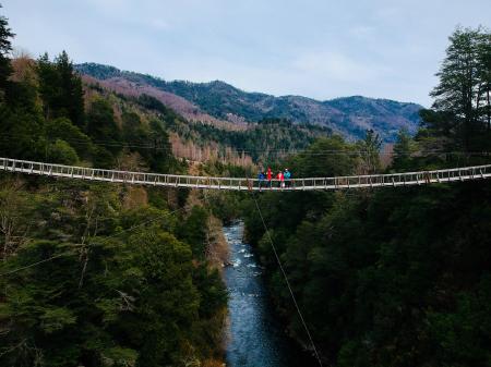 People Standing on Bridge