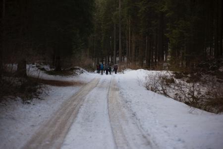 People Walking on Icy Road