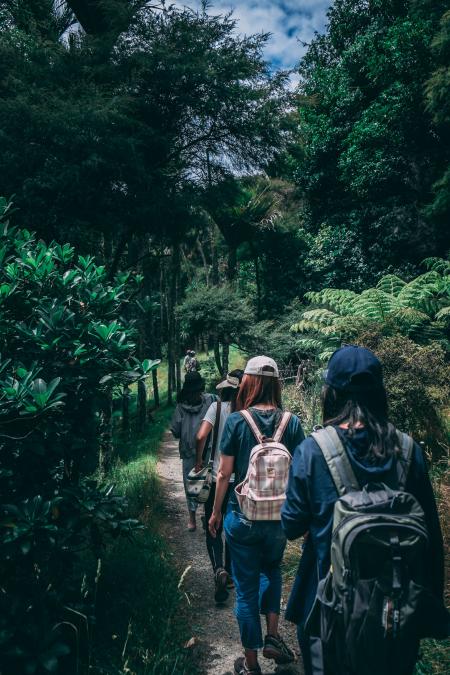 People Wearing Backpacks Walking on Pathway Near Green Leaf Plants