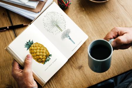 Person Holding Gray Ceramic Mug and Book