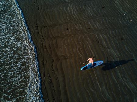 Person Holding Surfboard Near Seashore