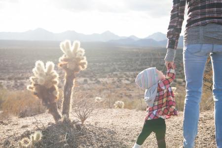 Person Holding Toddler Hand