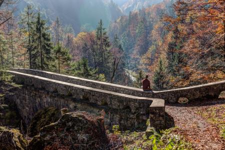 Person in Brown Shirt Sitting in Concrete Bridge Across Brown and Green Tree