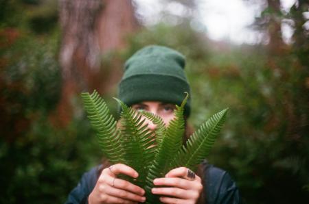 Person in Green Cap Holding Fern Leaves