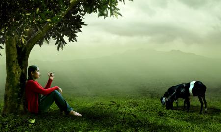 Person in Red Jacket Sitting Leaning in Tree Beside Black and White Horse