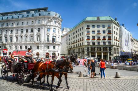 Person on Carriage With Two Horses Near Concrete Building