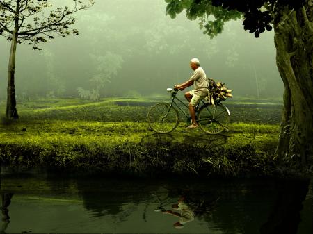 Person Riding on Bicycle on Green Grassfield during Daytime