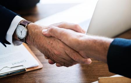 Person Shaking Hands