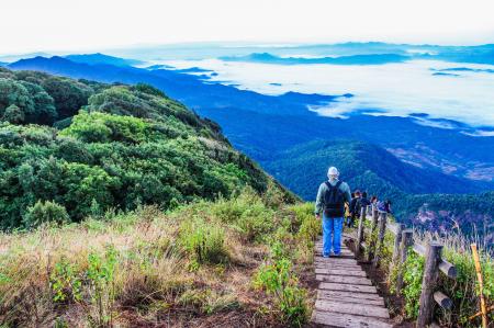 Person Standing on Brown Wooden Dock on Hill