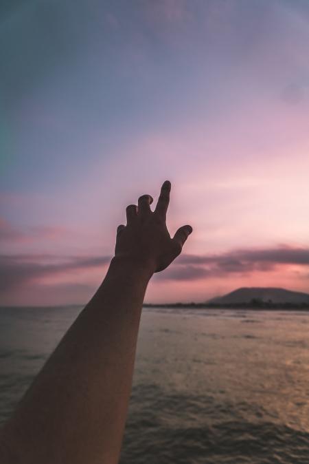 Person Taking Photo of Left Hand