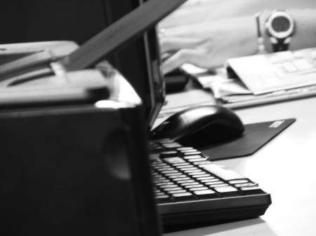 Person Typing on the Computer