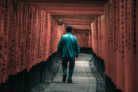 Person Walking on Arbor