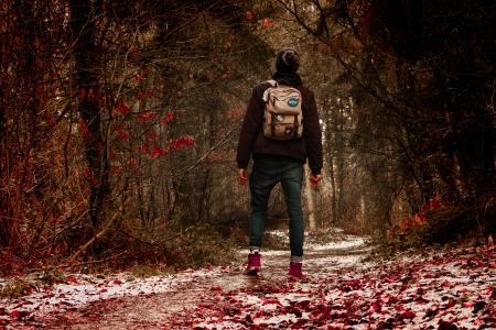 Person Wearing Black Jacket in the Middle of Forest