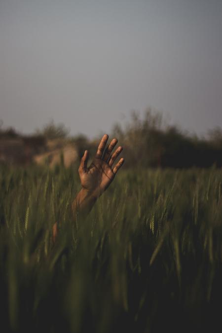 Person's Hand On Field