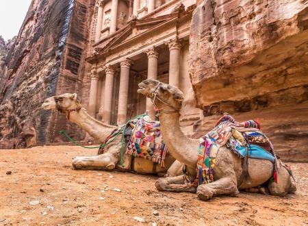 Petra Camel 2