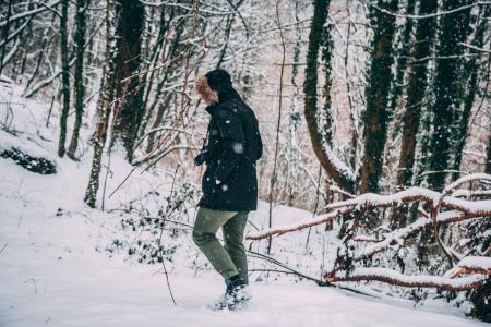 Photo of a Person in the Snowy Forest