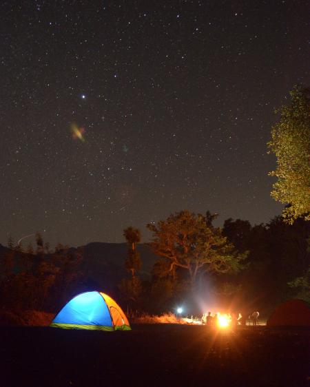 Photo of Blue and Yellow Lighted Dome Tent Surrounded by Plants during Night Time