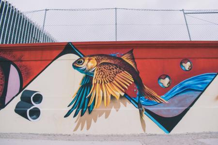 Photo of Brown, Blue, Red, and White Fish With Wings Wall Painting