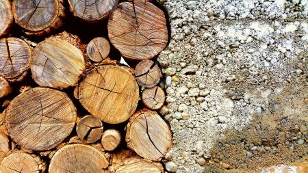 Photo of Brown Log and White Pebbles