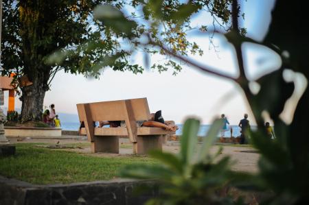 Photo of Brown Wooden Bench