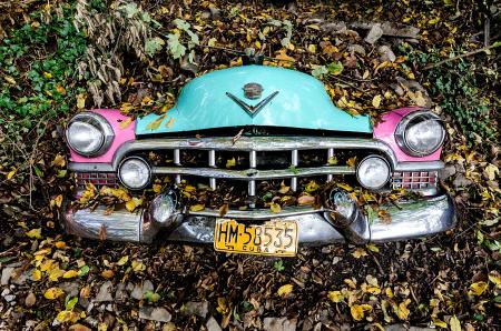 Photo of Car Covered with Leaves