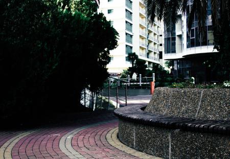 Photo of Empty Pathway Near Trees