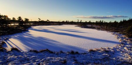 Photo of Frozen Lake Surrounded by Trees