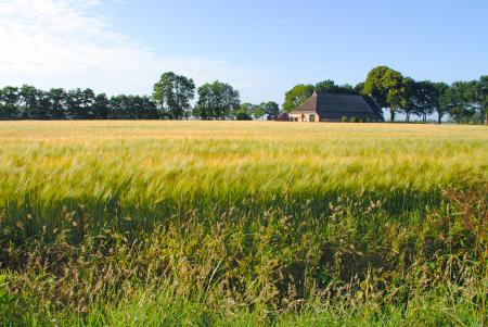 Photo of Grass Field