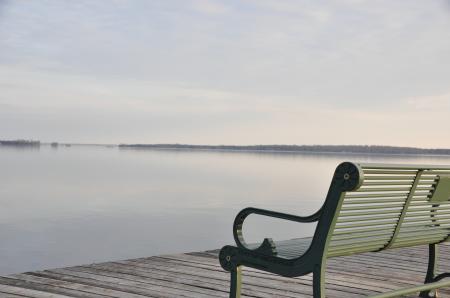 Photo of Gray Metal Bench Near Sea