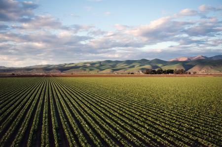 Photo of Green Field Near Mountains