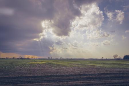 Photo of Green Field Under Cloudy Sky