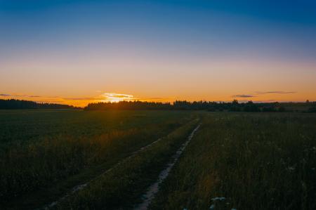 Photo of Green Grass Field during Golden Hours